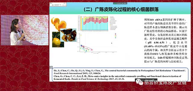 华南理工大学陈谷教授广陈皮与微生物生态