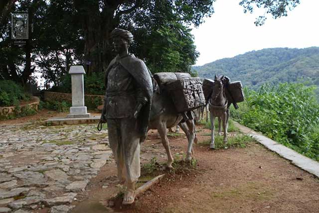 福元昌古树白票普洱茶