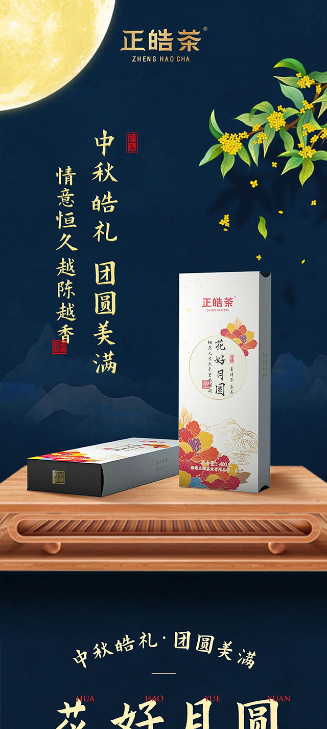 正皓茶花好月圆