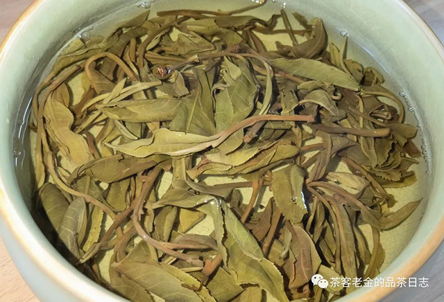 吾茶共饮2022年无量山普洱茶