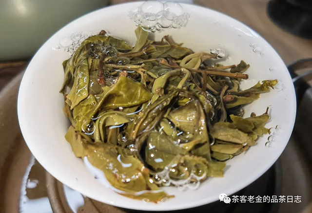 吾茶共饮2022年无量山普洱茶