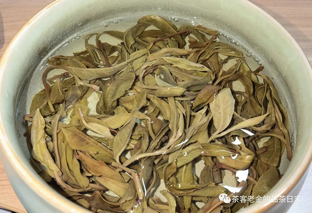 吾茶共饮2022年无量山普洱茶