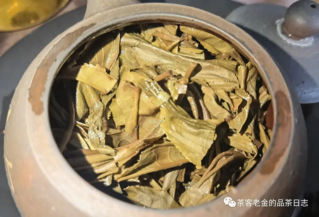 庄生晓梦2022年正念普洱茶