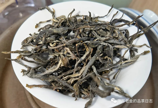 吾茶共饮2022年菁瑶普洱茶