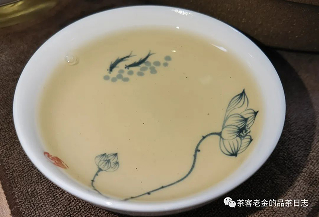 吾茶共饮2022年菁瑶普洱茶