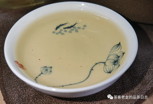 吾茶共饮2022年菁瑶普洱茶