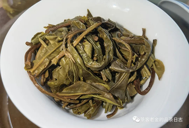 吾茶共饮2022年菁瑶普洱茶