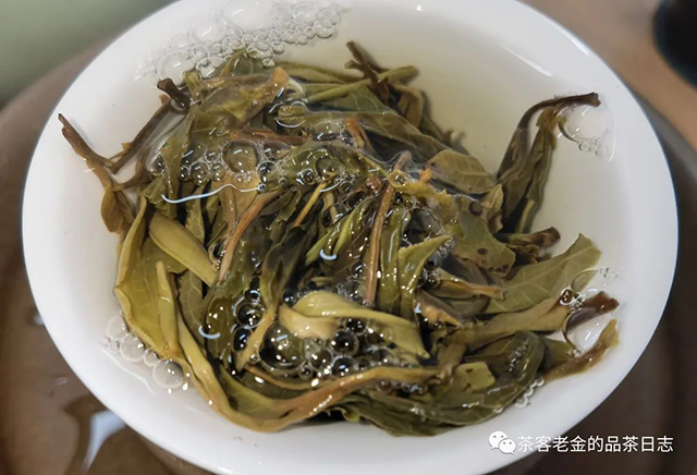 吾茶共饮2022年两棵树挑采菁瑶普洱茶