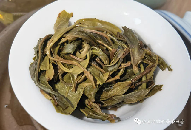 吾茶共饮2022年两棵树挑采菁瑶普洱茶