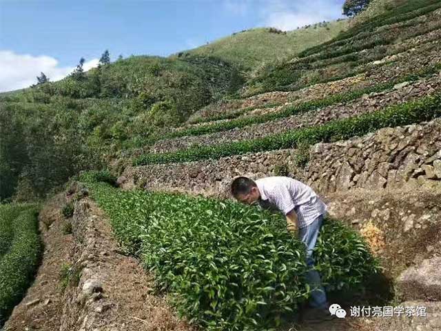 谢付亮国学茶馆