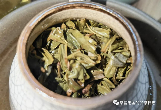 流星赶月2022年倚邦紫芽普洱茶