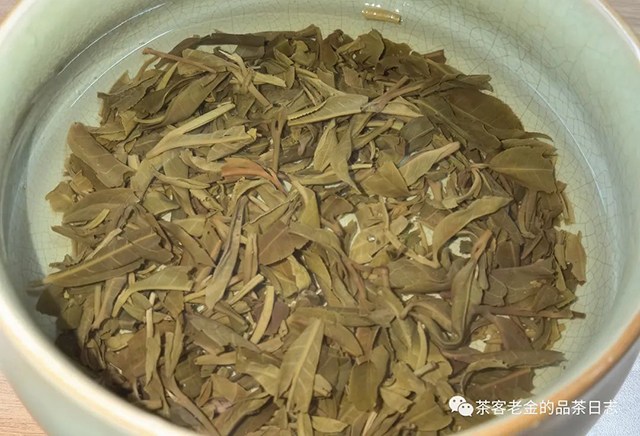 流星赶月2022年倚邦紫芽普洱茶