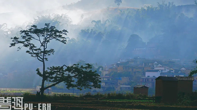 普洱茶时代