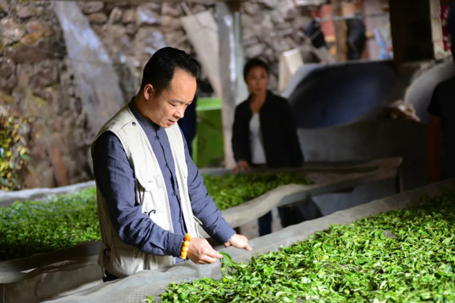 葳盛茶业领衔布朗山原味普洱茶