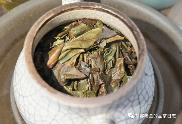 晓茶2021年曼松古树普洱茶