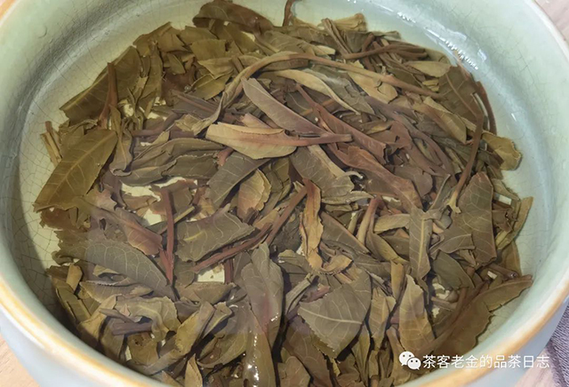 晓茶2021年曼松古树普洱茶