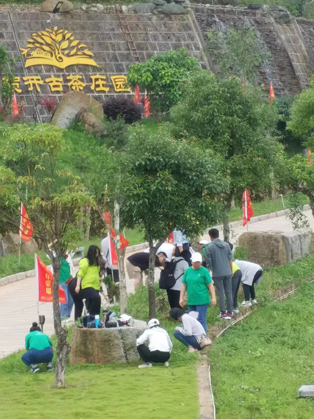 六大茶山勐海普洱茶厂