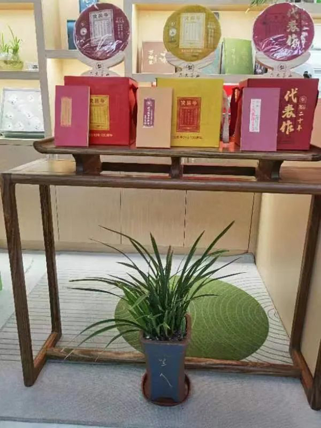 六大茶山2022年度新品品鉴会