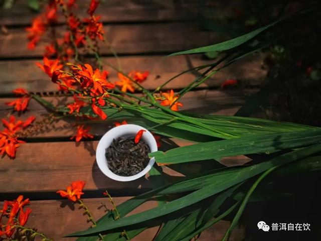 正岩牛栏坑肉桂醍醐灌顶茶品