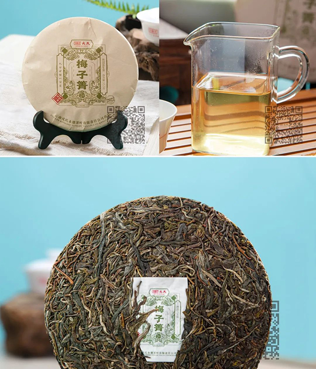 普洱生椰茶