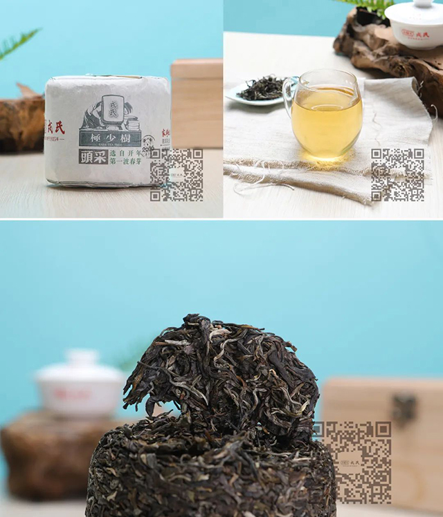 普洱柠檬茶