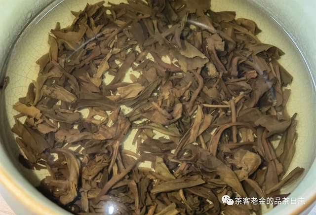 庄生晓梦2022年万境普洱茶