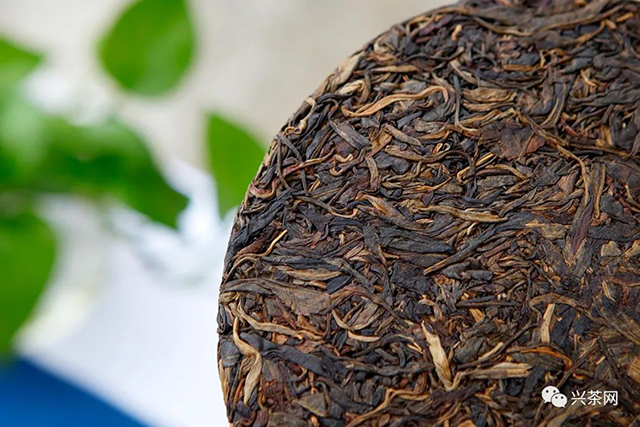 深土公司深红中期茶普洱茶