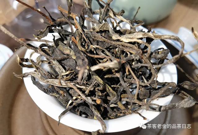 吾茶共饮2022年弯弓普洱茶