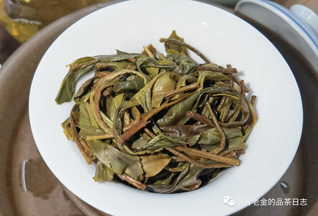 吾茶共饮2022年弯弓普洱茶