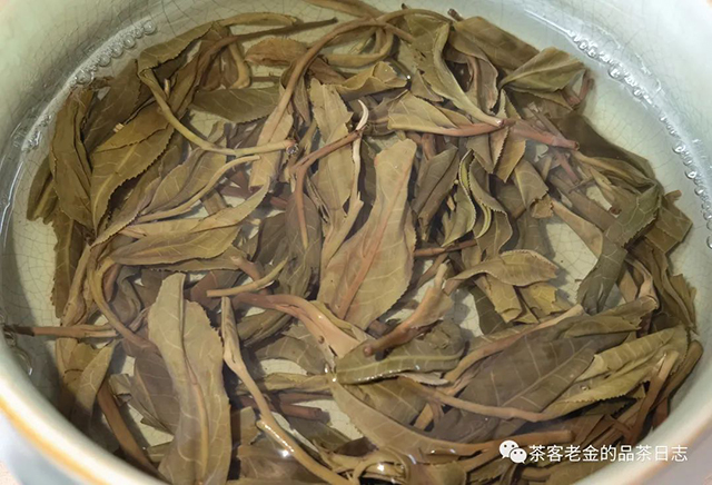 吾茶共饮2022年弯弓普洱茶