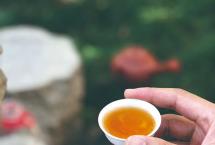 普洱杂志：谈谈普洱茶的几个泡法