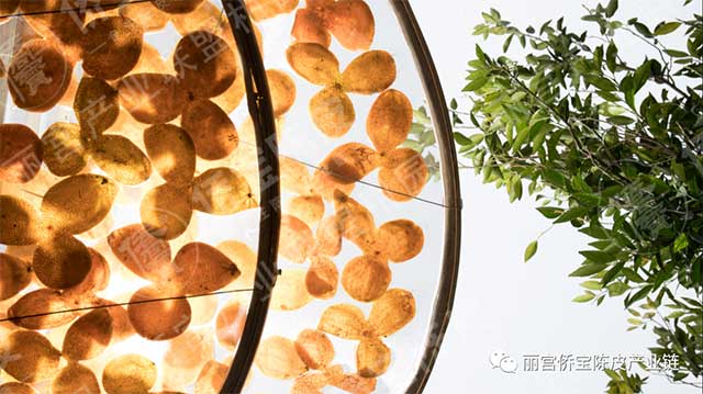 单杨院士工作站落户丽宫食品