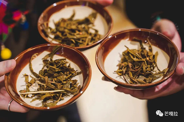 芒嘎拉古茶布朗烤茶会