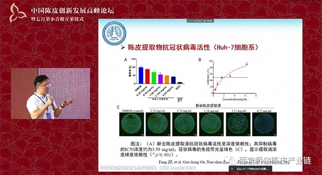 丽宫侨宝陈皮产业链