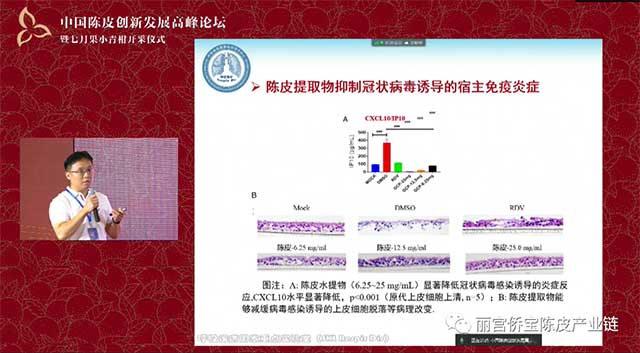 丽宫侨宝陈皮产业链