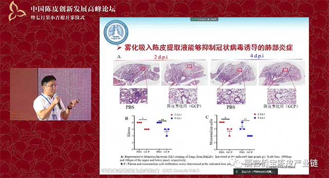 丽宫侨宝陈皮产业链