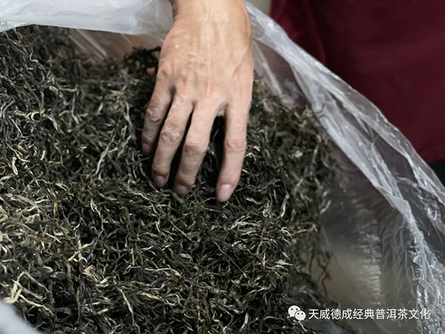 天威德成2022老班章普洱茶