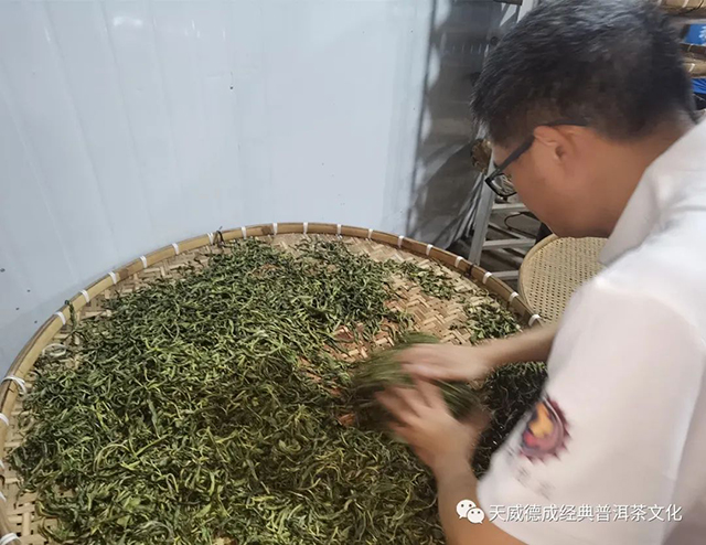 天威德成2022老班章普洱茶