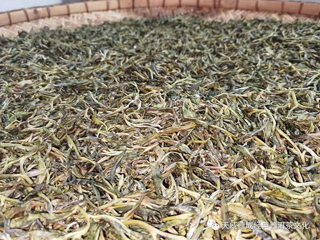 天威德成2022老班章普洱茶