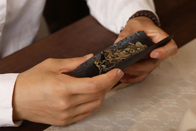 津乔普洱茶