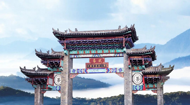 岁月知味2022四大基地易武茶