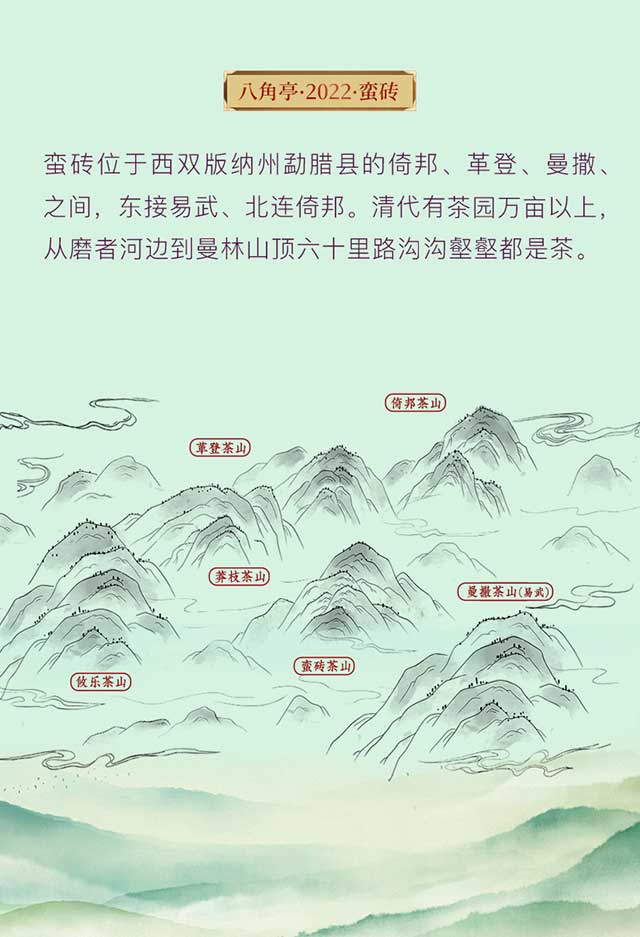 八角亭蛮砖力量美人普洱茶