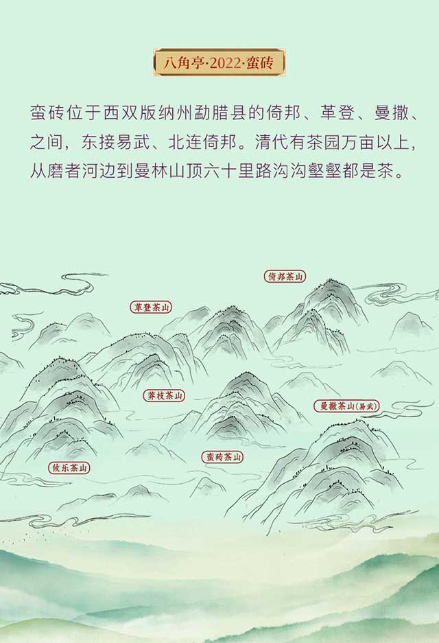 八角亭蛮砖力量美人普洱茶