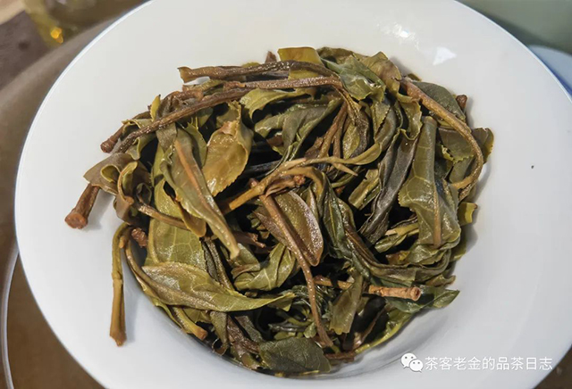 吾茶共饮2022年弯弓高杆普洱茶