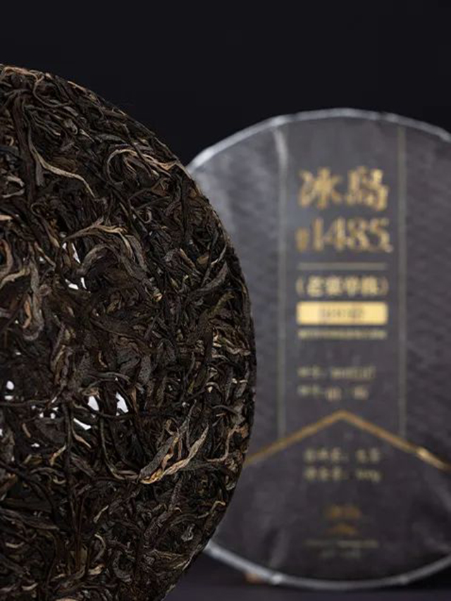 津乔普洱茶