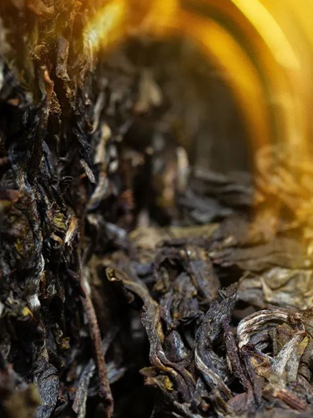 津乔普洱茶