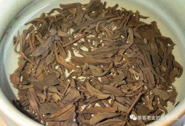 苦行茶僧2009年绿大寨普洱茶