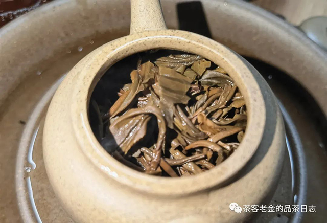 苦行茶僧2009年绿大寨普洱茶