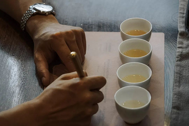 津乔首款纯料冰岛茶2010秘境幽香普洱茶品鉴
