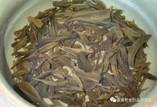 吾茶共饮2022年子归普洱茶